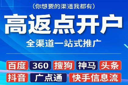SEM服务在本地化营销中的应用案例