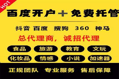 案例分析：SEM广告助力旅游行业增长