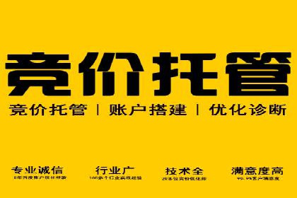 不同平台的SEM广告投放比较及成功案例分析